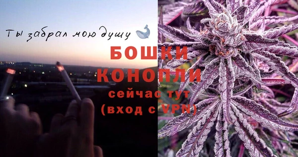 амф Осинники