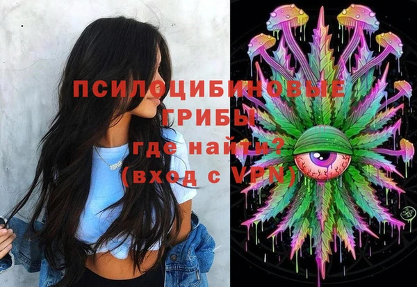 амф Осинники