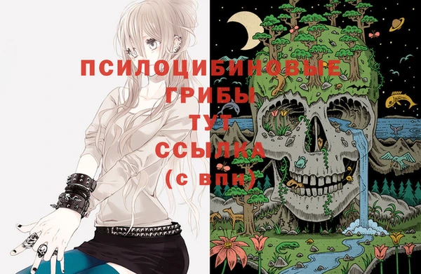 мяу мяу мука Осташков