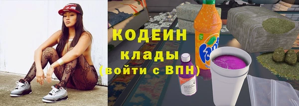 соль ск Инсар