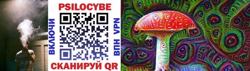 как найти закладки  omg ССЫЛКА  Галлюциногенные грибы Psilocybe  Энем 